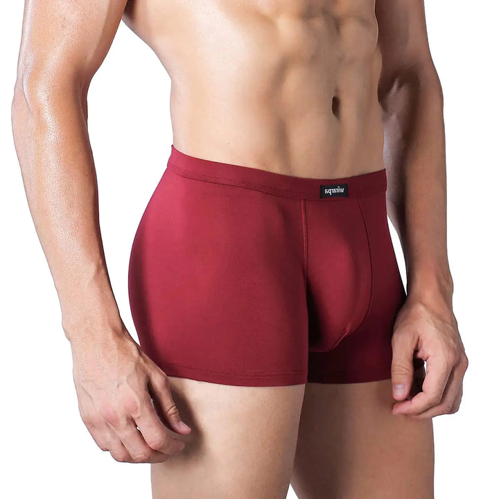 wirarpa Men's Breathable Modal Microfiber Trunks Underwear Covered Band Multipack 1402-4p-solid Color Medium